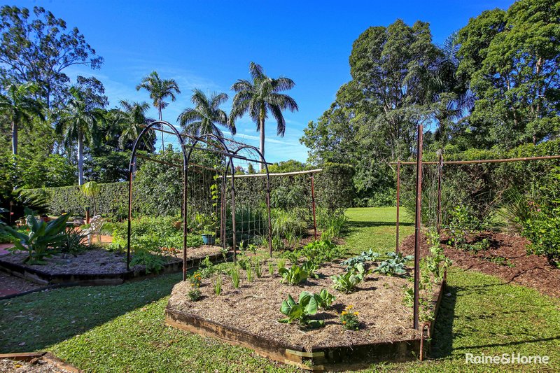 Photo - 7 Ponderosa Drive, Cooroy QLD 4563 - Image 4