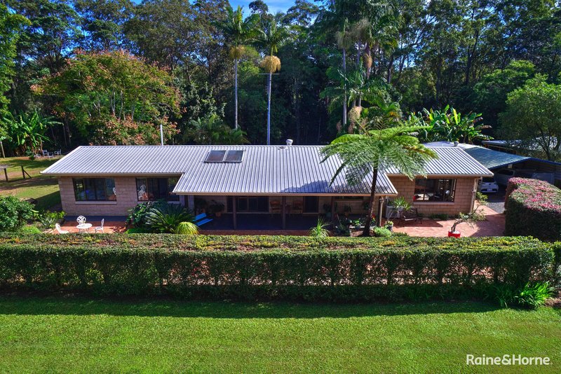 Photo - 7 Ponderosa Drive, Cooroy QLD 4563 - Image 5