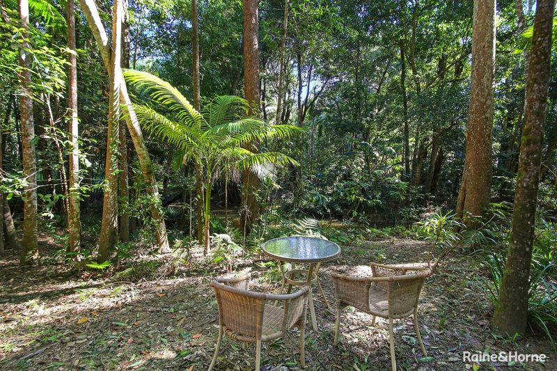 Photo - 7 Ponderosa Drive, Cooroy QLD 4563 - Image 21