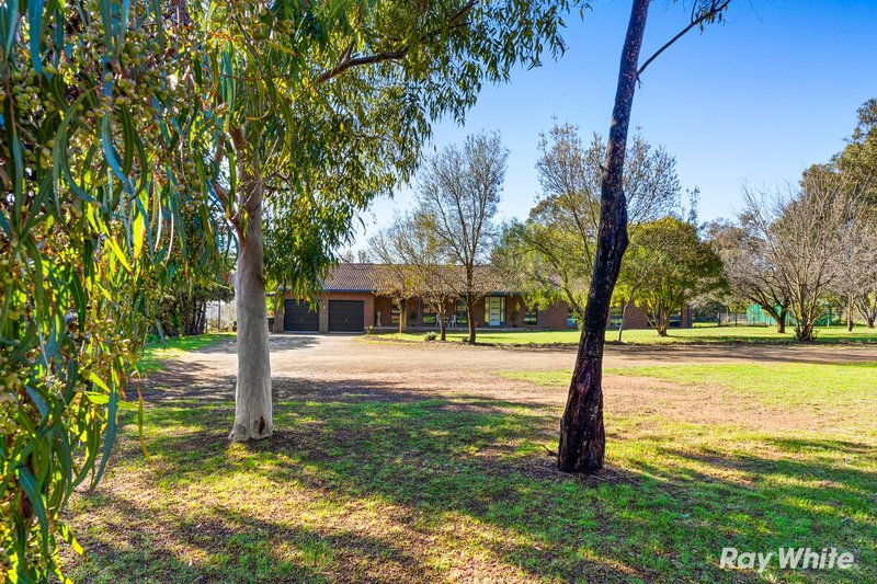 7 Poplar Road, Lake Albert NSW 2650