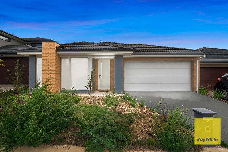 Photo - 7 Quince Road, Manor Lakes VIC 3024 - Image 3