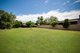 Photo - 7 Reddy Street, One Mile QLD 4305 - Image 1