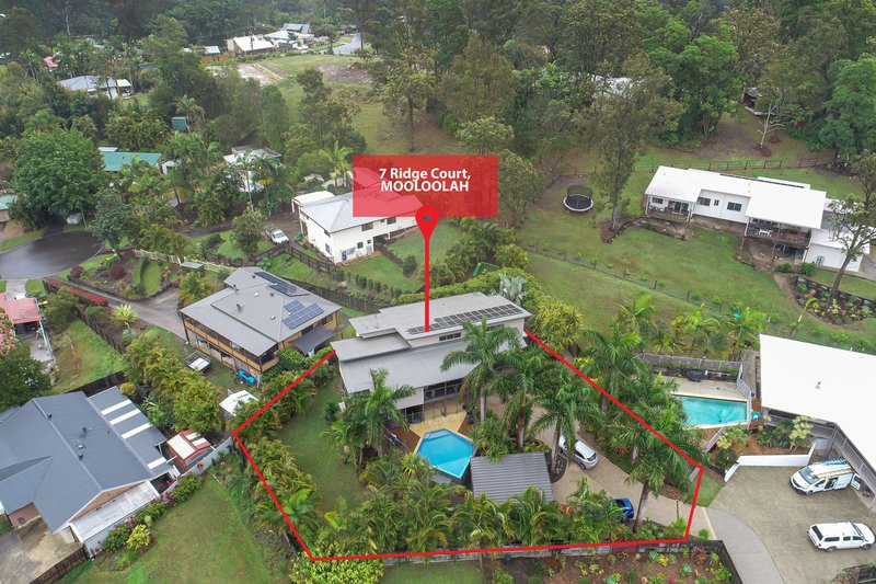 Photo - 7 Ridge Court, Mooloolah Valley QLD 4553 - Image 15