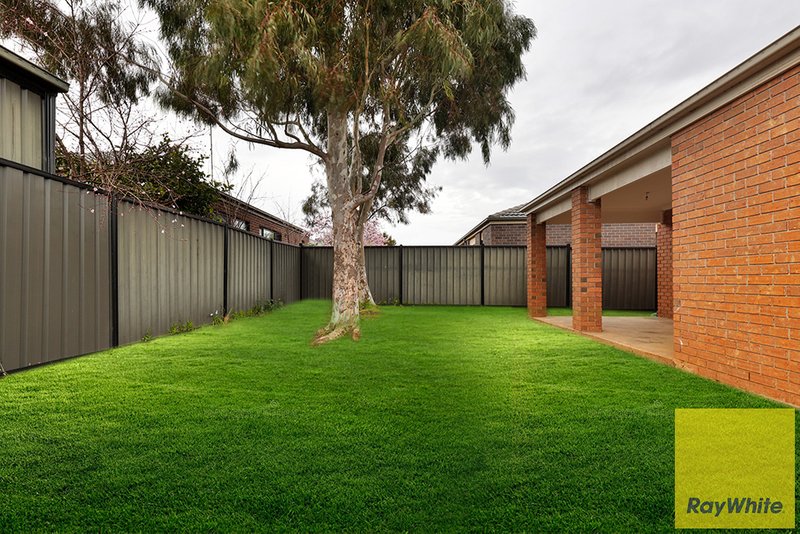 Photo - 7 Rifflebird Drive, Tarneit VIC 3029 - Image 20