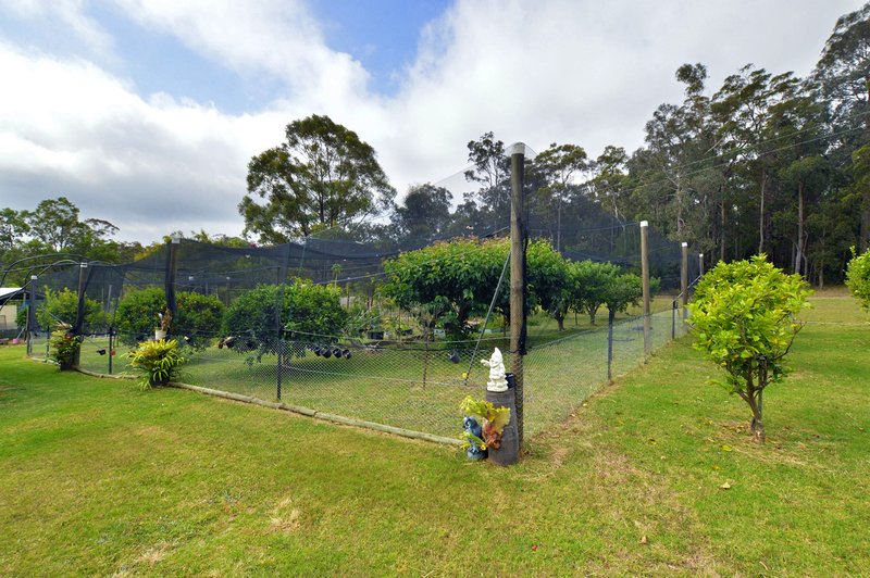 Photo - 7 Rilys Rd , Coolagolite NSW 2550 - Image 12