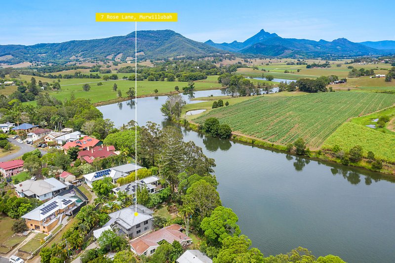 Photo - 7 Rose Lane, South Murwillumbah NSW 2484 - Image 4