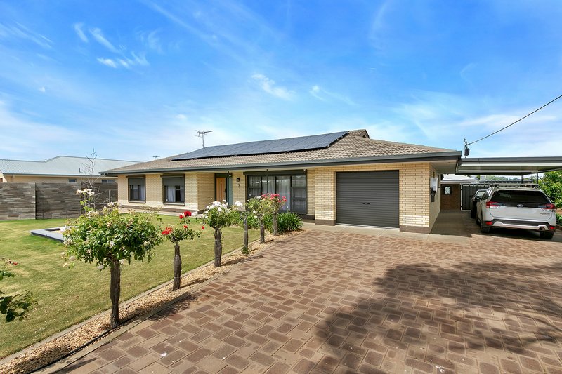 Photo - 7 Samuel Road, Nuriootpa SA 5355 - Image 5