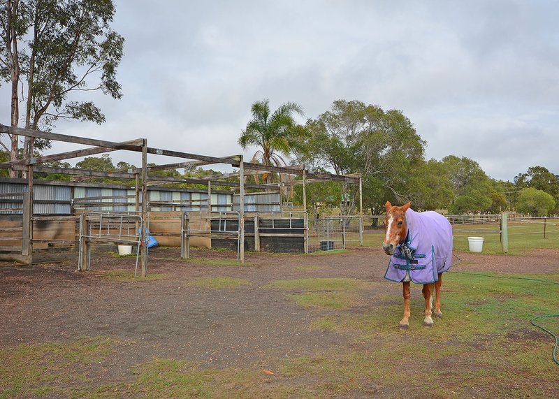 Photo - 7 Sanctuary Hills Road, Takura QLD 4655 - Image 22