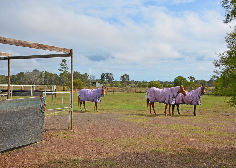 Photo - 7 Sanctuary Hills Road, Takura QLD 4655 - Image 23