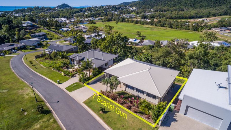 Photo - 7 Scarlet Gum Crescent, Cannonvale QLD 4802 - Image 4