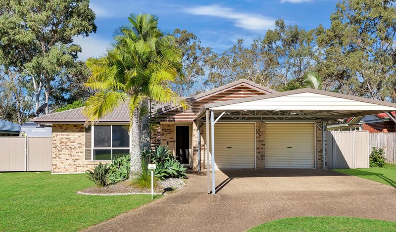 Photo - 7 Springer Place, Bracken Ridge QLD 4017 - Image 15