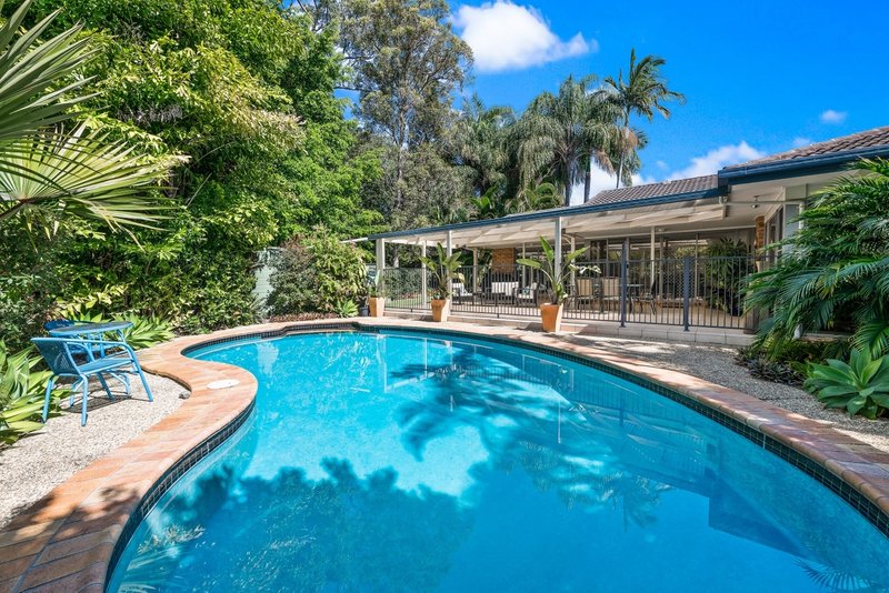 Photo - 7 St Bees Court, Buderim QLD 4556 - Image 2