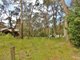 Photo - 7 Strathearn Road, Leura NSW 2780 - Image 1