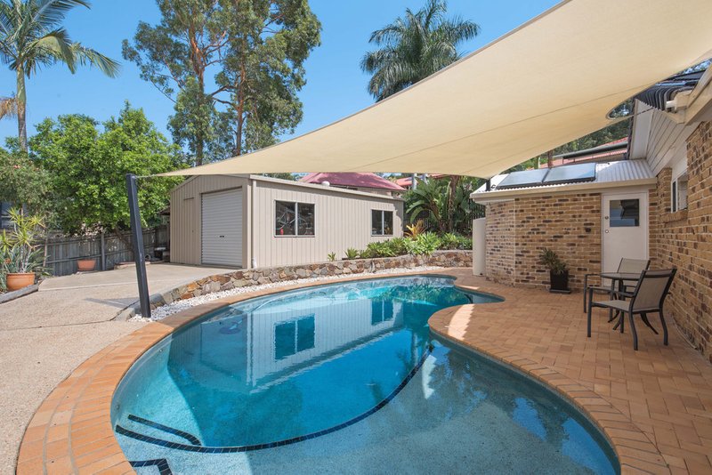 Photo - 7 Sutherland Street, Buderim QLD 4556 - Image 15