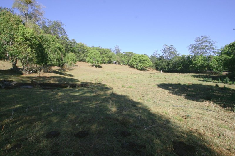 Photo - 7 Swifts Road, Tyalgum NSW 2484 - Image 4