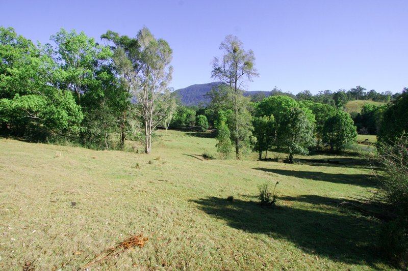 Photo - 7 Swifts Road, Tyalgum NSW 2484 - Image 5