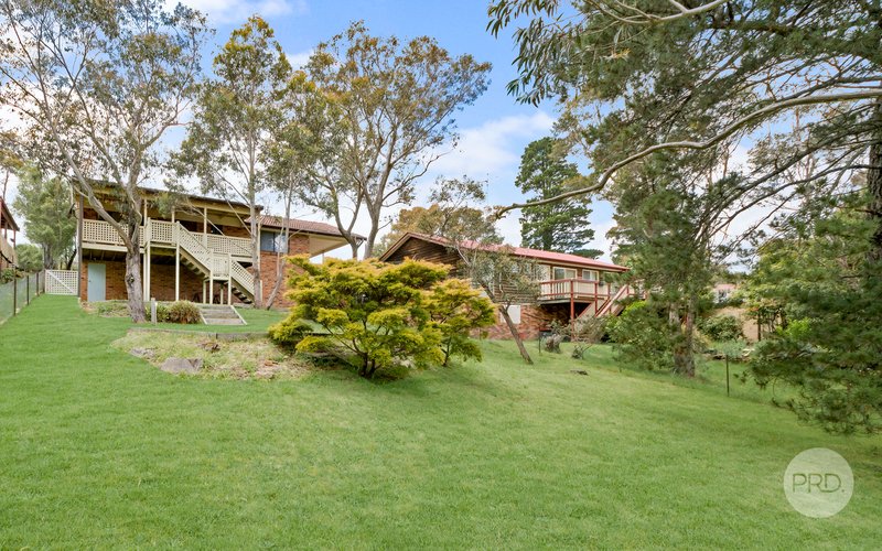 Photo - 7 Tableland Road, Wentworth Falls NSW 2782 - Image 3