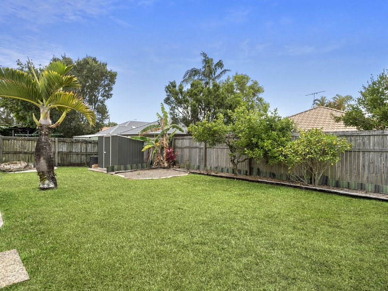 Photo - 7 Talara Street, Currimundi QLD 4551 - Image 12