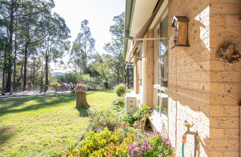 Photo - 7 Ted Hunt Terrace, Moruya NSW 2537 - Image 16