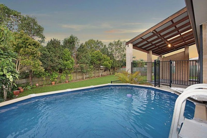 Photo - 7 Terrace Lea Court, Palmwoods QLD 4555 - Image 6