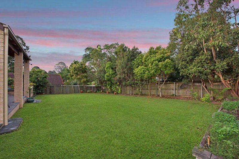 Photo - 7 Terrace Lea Court, Palmwoods QLD 4555 - Image 12