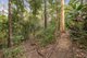 Photo - 7 Timberdale Court, Mons QLD 4556 - Image 20