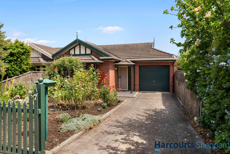 7 Torrens Street, Linden Park SA 5065