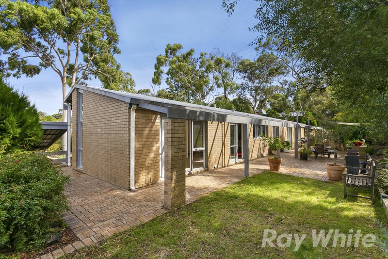 Photo - 7 Tracey Court, Wheelers Hill VIC 3150 - Image 9