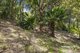 Photo - 7 Trentwood Park, Avalon Beach NSW 2107 - Image 5