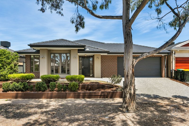 Photo - 7 Truscott Grove, Point Cook VIC 3030 - Image 20