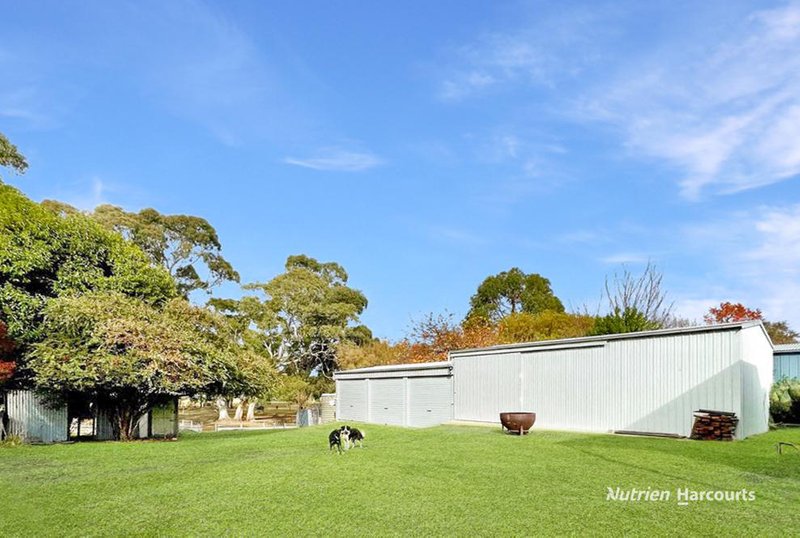Photo - 7 Tuckett Street, Casterton VIC 3311 - Image 13