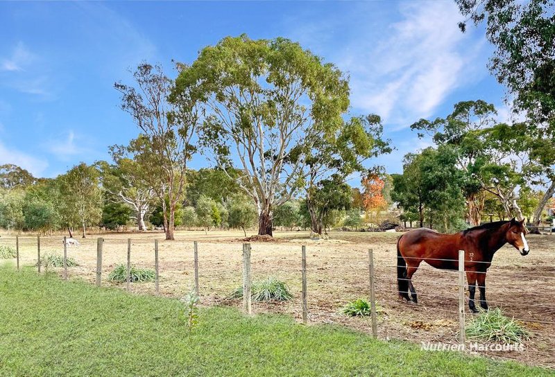 Photo - 7 Tuckett Street, Casterton VIC 3311 - Image 14