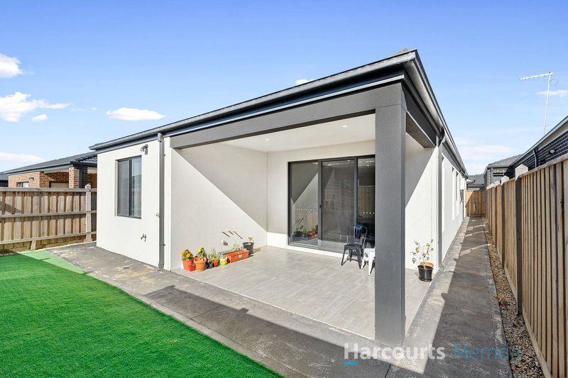 Photo - 7 Turmeric Avenue, Mickleham VIC 3064 - Image 12