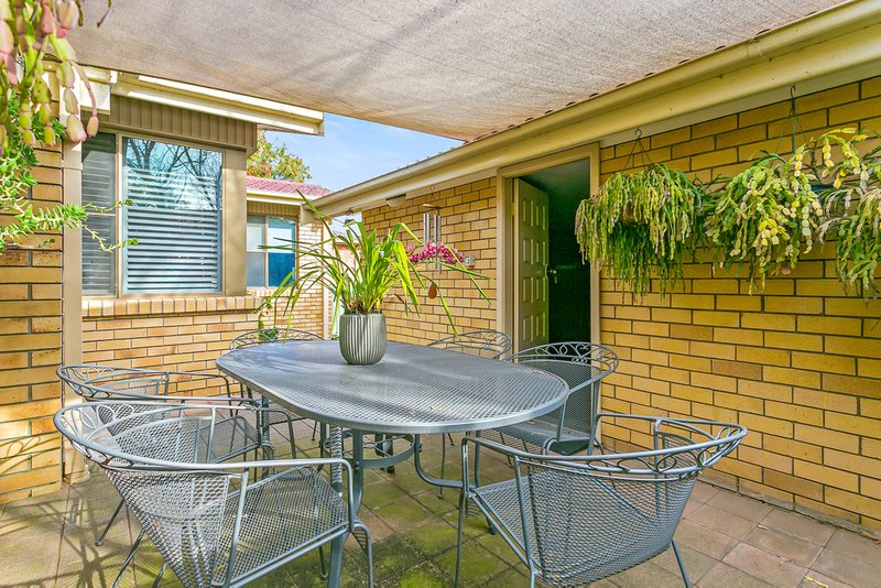 Photo - 7 Wade Avenue, Tamworth NSW 2340 - Image 4