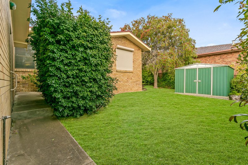 Photo - 7 Wade Avenue, Tamworth NSW 2340 - Image 16