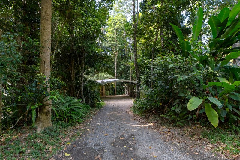 Photo - 7 Weir Road, Kuranda QLD 4881 - Image 31