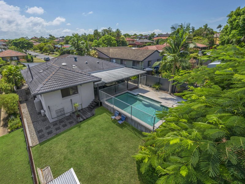 Photo - 7 Willara Street, Carseldine QLD 4034 - Image 3