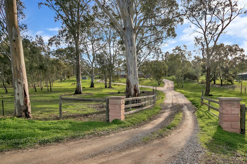 Photo - 7 William Gilbert Avenue, Cockatoo Valley SA 5351 - Image 21