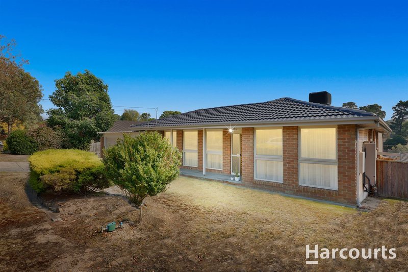 Photo - 7 Wilpena Place, Vermont South VIC 3133 - Image 16