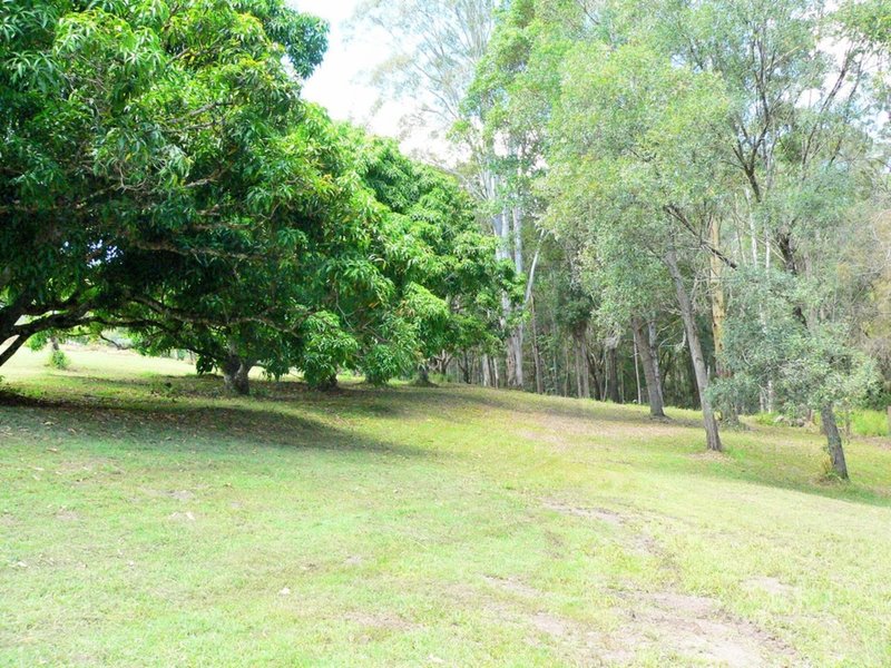 Photo - 7 Wirruna Drive, Cooran QLD 4569 - Image 6