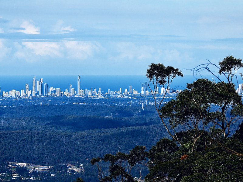 Photo - 7 Witherby Crescent, Tamborine Mountain QLD 4272 - Image 9