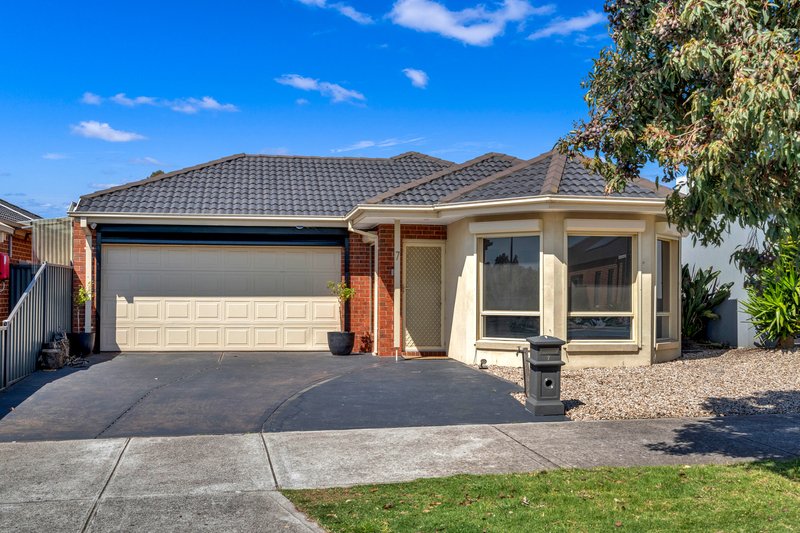 7 Wyperfeld Avenue, Craigieburn VIC 3064