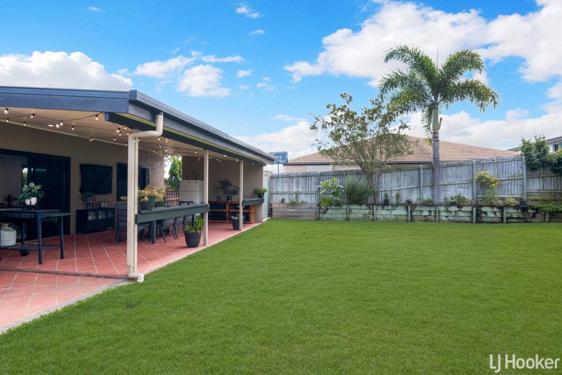 Photo - 7 Zamia Court, Norman Gardens QLD 4701 - Image 26