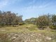 Photo - 70 Bayside Drive, Beachmere QLD 4510 - Image 27