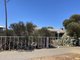 Photo - 70 Caw Street, Merredin WA 6415 - Image 5