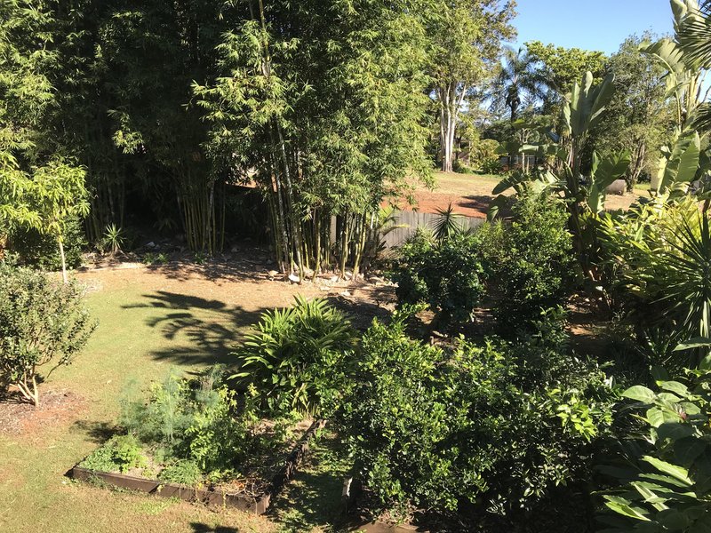 Photo - 70 Elizabeth Street, Nambour QLD 4560 - Image 18