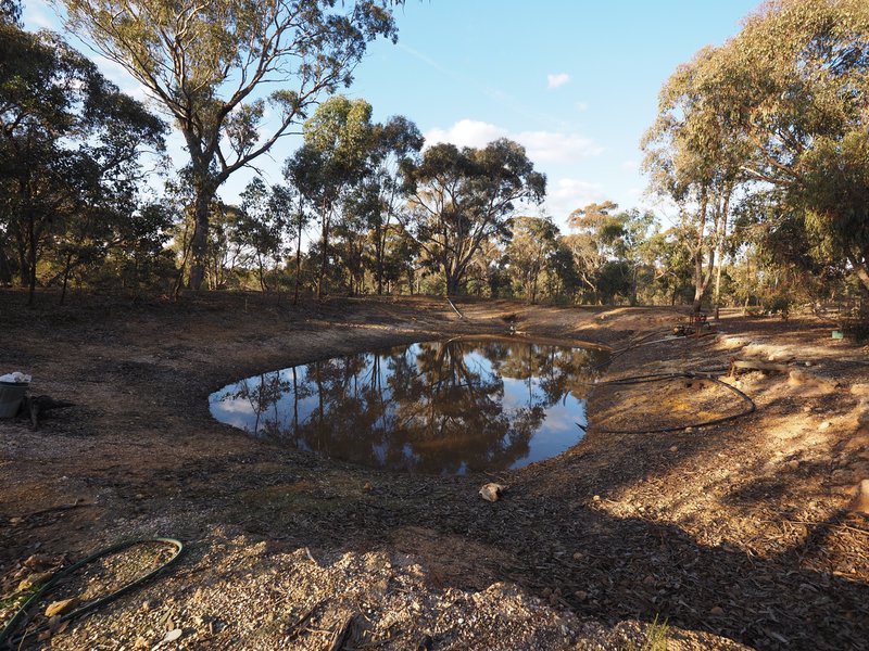 Photo - 70 Lamplough Heights Road, Lamplough VIC 3352 - Image 16