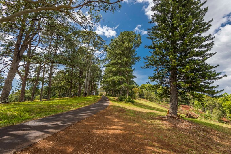 Photo - 70 Pine Mountain Road, Possum Creek NSW 2479 - Image 4