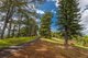 Photo - 70 Pine Mountain Road, Possum Creek NSW 2479 - Image 4