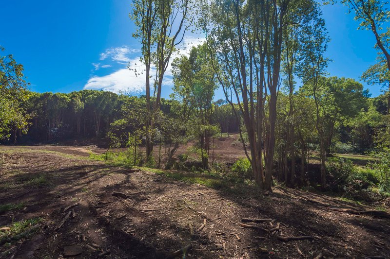 Photo - 70 Pine Mountain Road, Possum Creek NSW 2479 - Image 15